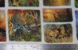Whitetail Country - 43'' - 100% cotton panels