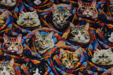 Purrfectly Playful - 43" - 100% cotton