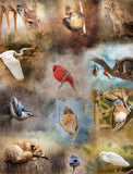 Nestled In Nature - 36'' x 43.5'' - 100% cotton