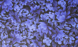 Floral Fantasy - 45'' - 100% cotton