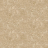 Canvas - 45" - 100% Cotton - Northcott