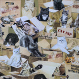 Purrfect Hangout - 45" - 100% Cotton