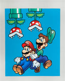 Super Mario Bros - 36" x 44" - 100% cotton