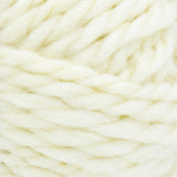 Wool-Ease Recycled Thick & Quick - 170g - Lion Brand