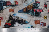 All Aboard - 44/45'' - 100% cotton