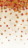 Oh Canada 13 - Stonehenge - 44" - 100% cotton