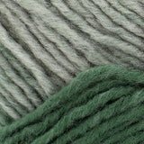 Scarfie - 150g - Lion Brand