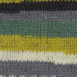 Kroy Socks - 50g - Patons