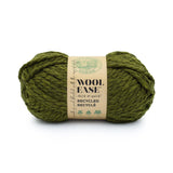 Wool-Ease Recycled Thick & Quick - 170g - Lion Brand