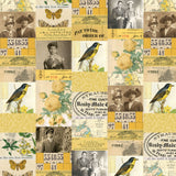 Palette Yellow - 44" - 100% cotton - Tim Holtz