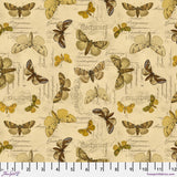 Palette Yellow - 44" - 100% cotton - Tim Holtz