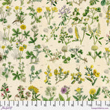 Palette Yellow - 44" - 100% cotton - Tim Holtz