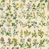 Palette Yellow - 44" - 100% cotton - Tim Holtz