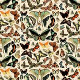 Palette Teal - 44" - 100% cotton - Tim Holtz