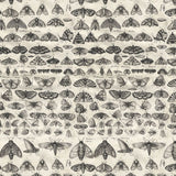 Palette Charcoal - 44" - 100% cotton - Tim Holtz