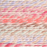 Wool-Ease Thick & Quick - 170g - Lion Brand