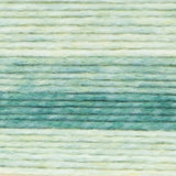 Landscapes Renewed - 150g - Lion Brand