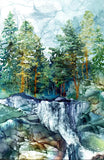 Cedarcrest Falls - 44/45" - 100% Cotton