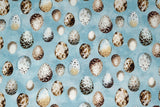 Feathered Nest - 44/45" - 100% Cotton