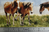 Greener Pastures - 44/45" - 100% Cotton