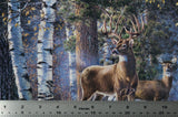 Naturescapes First Light - 44/45" - 100% Cotton - Northcott