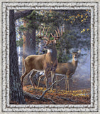 Naturescapes First Light - 44/45" - 100% Cotton - Northcott
