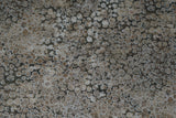 New Shimmer - 44/45" - 100% Cotton