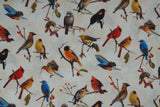 Songbirds - 44/45" - 100% Cotton