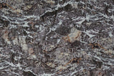 Winter Gathering - 44/45" - 100% Cotton