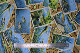 Flat swatch Postcards fabric (scattered raw edge postcards with brightly coloured underwater fish graphics over barn board look collage with tossed fishing lures and netting)