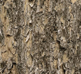 Square swatch fabric from Naturescapes collection in brown stone (light brown/grey textured look bark/stone fabric)