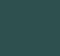 Solid colour swatch of Kale (dark dusty green)