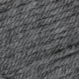 Medium Grey Mix swatch of Patons Canadiana