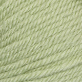 Cherished Green (light sage) swatch of Patons Canadiana