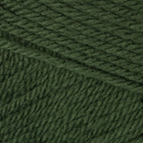 Dark Green Tea swatch of Patons Canadiana