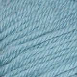 Pale Teal swatch of Patons Canadiana