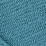 Medium Teal swatch of Patons Canadiana