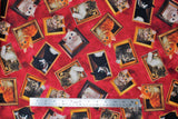 Flat swatch Portraits Red fabric (red fabric with tossed gold frames with assorted style/colour kitties within and poking out of)
