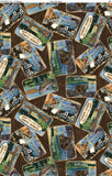 Lake Signs fabric swatch (brown wood background with tossed rectangular landscape lake scenes in illustrated look style with lake related text "Bear Lake" etc.)