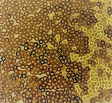 Square swatch sequin mesh (solid coloured mesh fabric with reflective sequins in same colourway) in shade gold