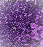Square swatch sequin mesh (solid coloured mesh fabric with reflective sequins in same colourway) in shade purple