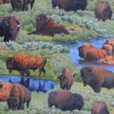 Square swatch green fabric (outdoor scenery buffalos at watering hole and lounging in grass collage)