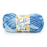 Bundle Of Love - 311g - Lion Brand