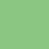 Square swatch Tula Pink solid in shade cricket (pale medium green)