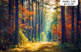Full panel swatch autumn themed printed fabric in Autumn Strolls Panel (sun through forest trees)