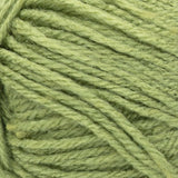 Swatch of Red Heart Heat Wave yarn in shade seaweed (light pale green)