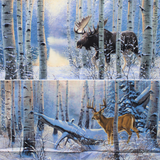 Winter Sunrise - 45" - 100% Cotton