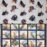 Group swatch assorted motorcycle printed fabrics in various styles/colours