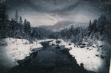 Call of the Wild Panels - (30"-33" x 45") - 100% Cotton