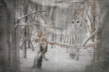 Call of the Wild Panels - (30"-33" x 45") - 100% Cotton